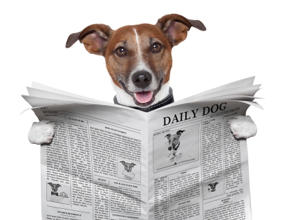 dog-reading-newspaper-top-five-most-read